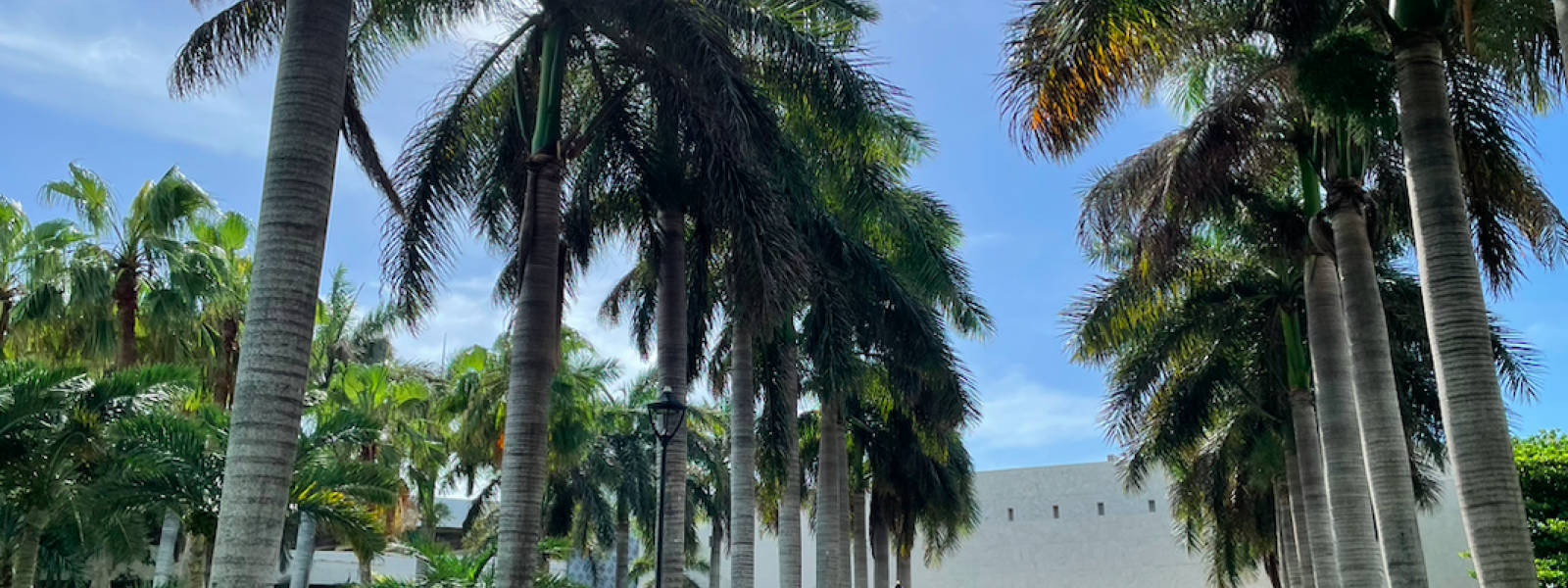 12.5 Kukulkan Boulevard, Cancun, Quintana Roo 77500, 2 Bedrooms Bedrooms, ,2 BathroomsBathrooms,Departamento,En Venta,Kukulkan,1007